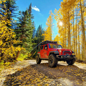 Overland Jeep Rental with fall colors